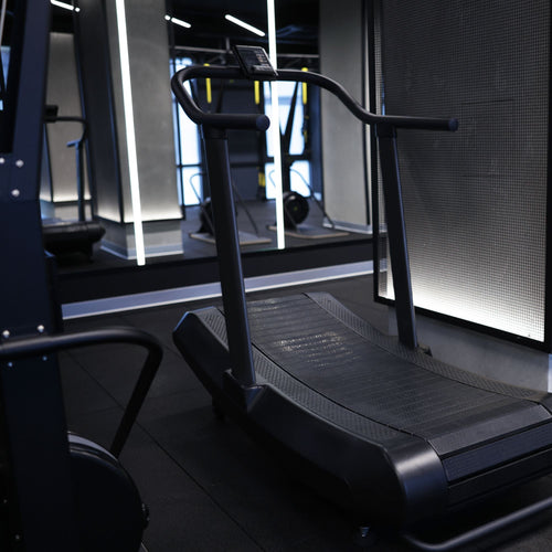 Gym and Wellness